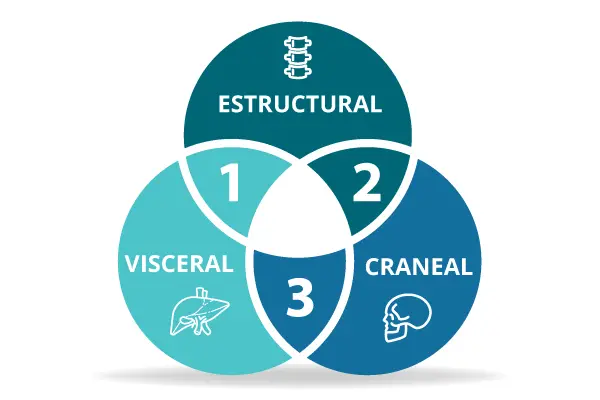 clasificacion-de-la-osteopatia